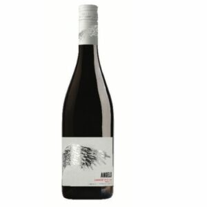 Une bouteille de NERO D'AVOLA DOC 75cl (vin italien) avec un bouchon blanc et une étiquette montrant une illustration artistique d'aile et "ANGELO" en rouge en bas à droite. Le fond est blanc uni.