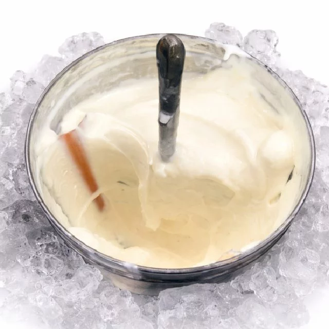 Un bol métallique d'ANIMATION SORBET COCO ANTILLAIS (1h30), crémeux et blanc, avec une cuillère à l'intérieur, repose sur des glaçons pour rester frais.